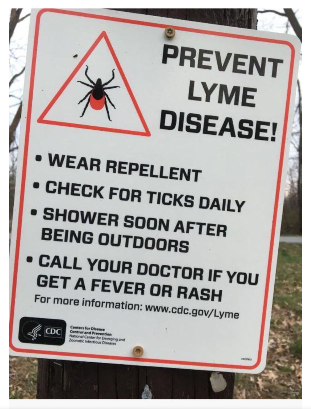 Joy Warrior wins battle with Chronic Lyme Disease